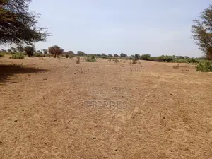 Terrain Agricole De 4,50 Hectares À 3km De Tassette - Thiès