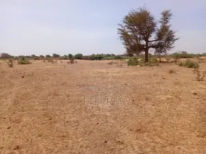 Terrain Agricole De 4,50 Hectares À 3km De Tassette - Thiès