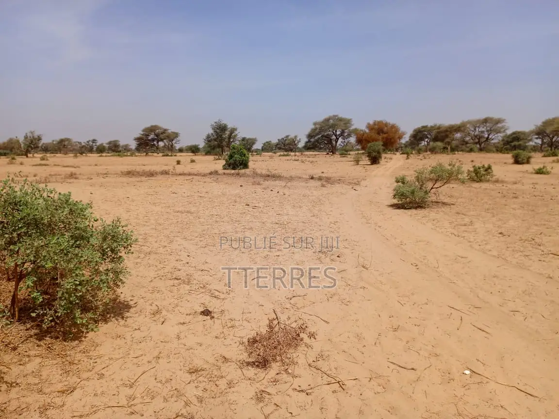 Terrain Agricole De 4,50 Hectares À 3km De Tassette - Thiès