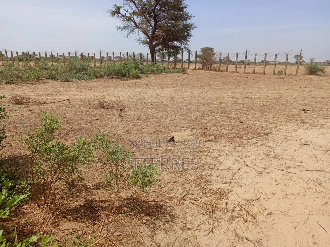 Terrain Agricole De 4,50 Hectares À 3km De Tassette - Thiès
