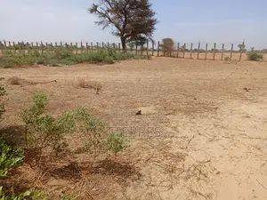 Terrain Agricole De 4,50 Hectares À 3km De Tassette - Thiès