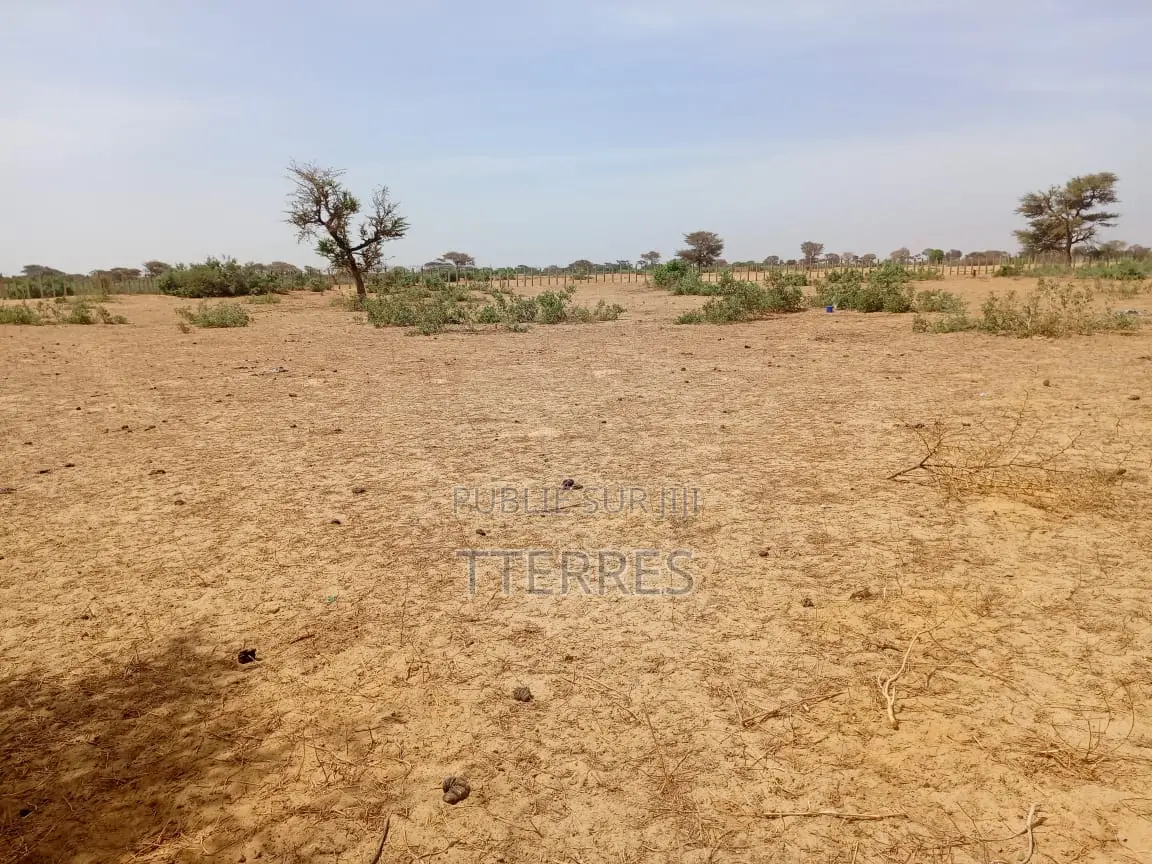 Terrain Agricole De 4,50 Hectares À 3km De Tassette - Thiès
