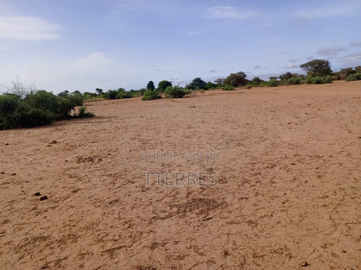 Terrain Agricole De 1,40 Hectare À 3 Km De Notto- Thiès