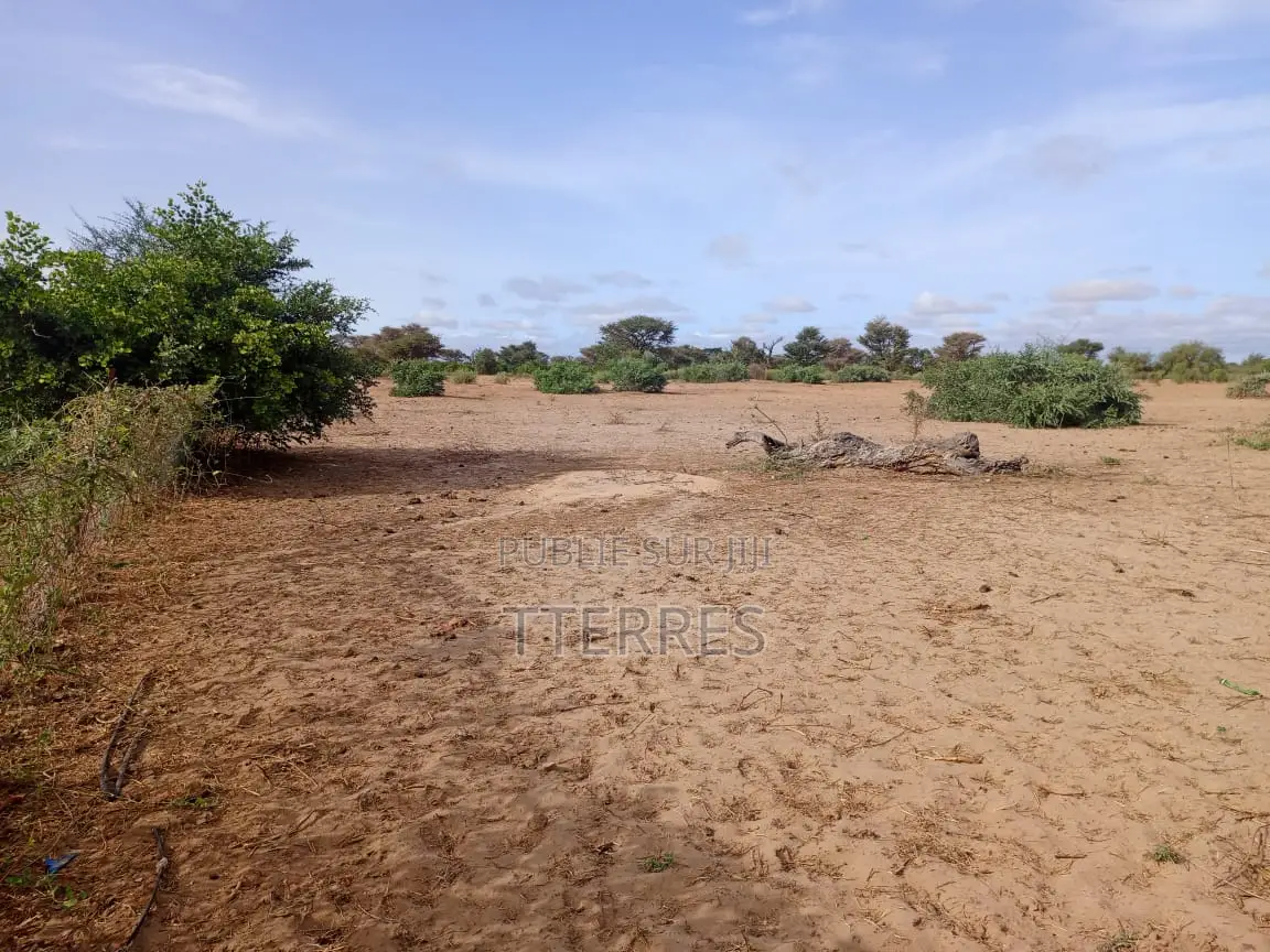 Terrain Agricole De 1,40 Hectare À 3 Km De Notto- Thiès