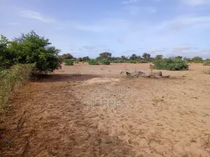 Terrain Agricole De 1,40 Hectare À 3 Km De Notto- Thiès