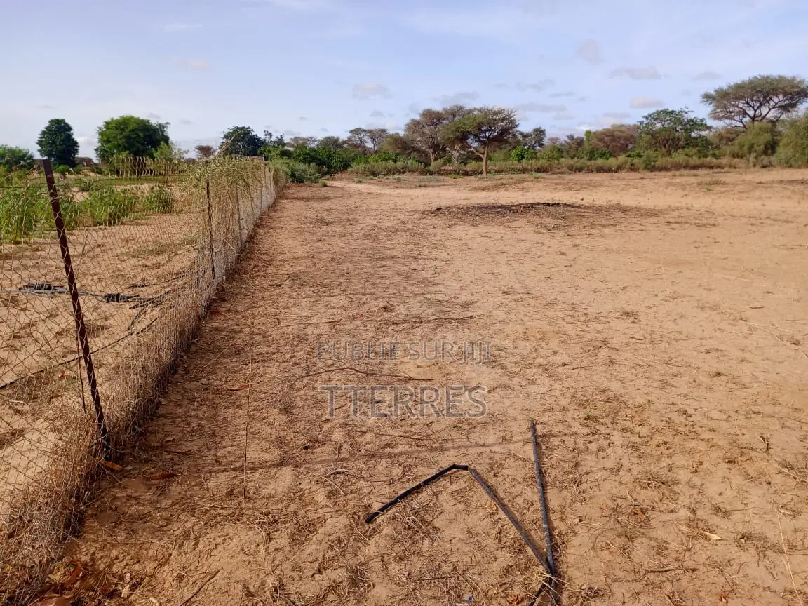 Terrain Agricole De 1,40 Hectare À 3 Km De Notto- Thiès