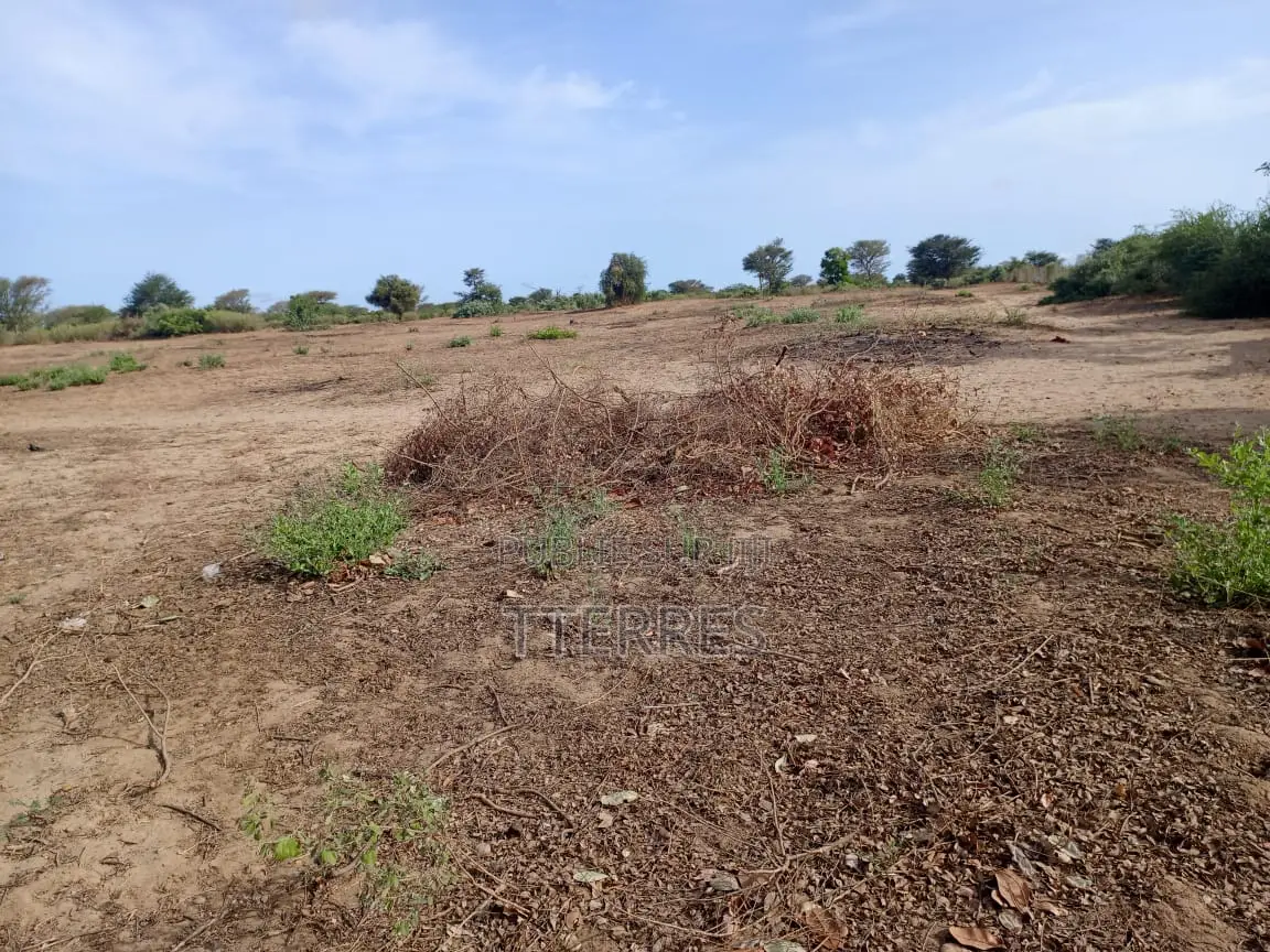 Terrain Agricole De 1,40 Hectare À 3 Km De Notto- Thiès