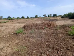 Terrain Agricole De 1,40 Hectare À 3 Km De Notto- Thiès