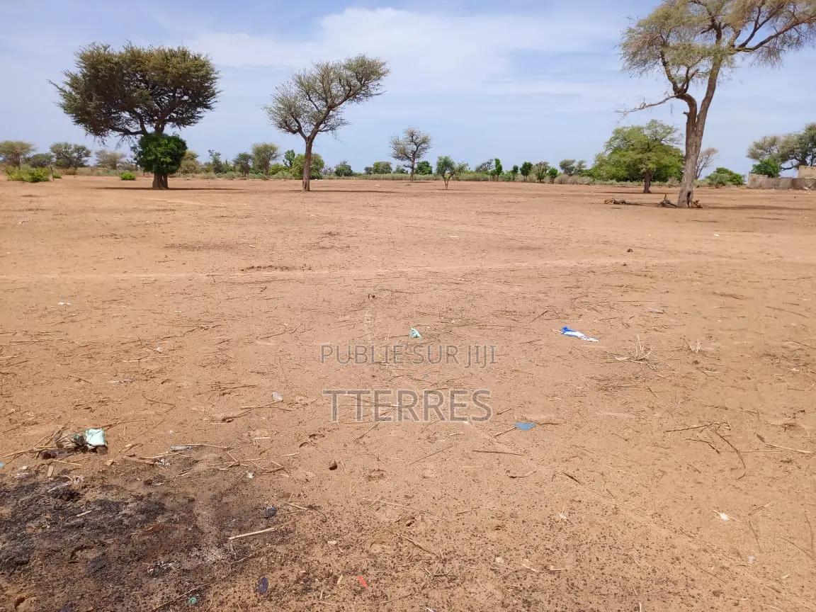 Terrain Agricole De 4099 M2 À 300 M De Takhoum - Mbour
