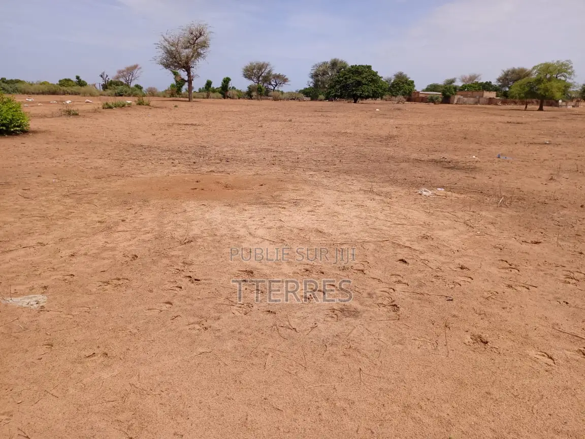 Terrain Agricole De 4099 M2 À 300 M De Takhoum - Mbour
