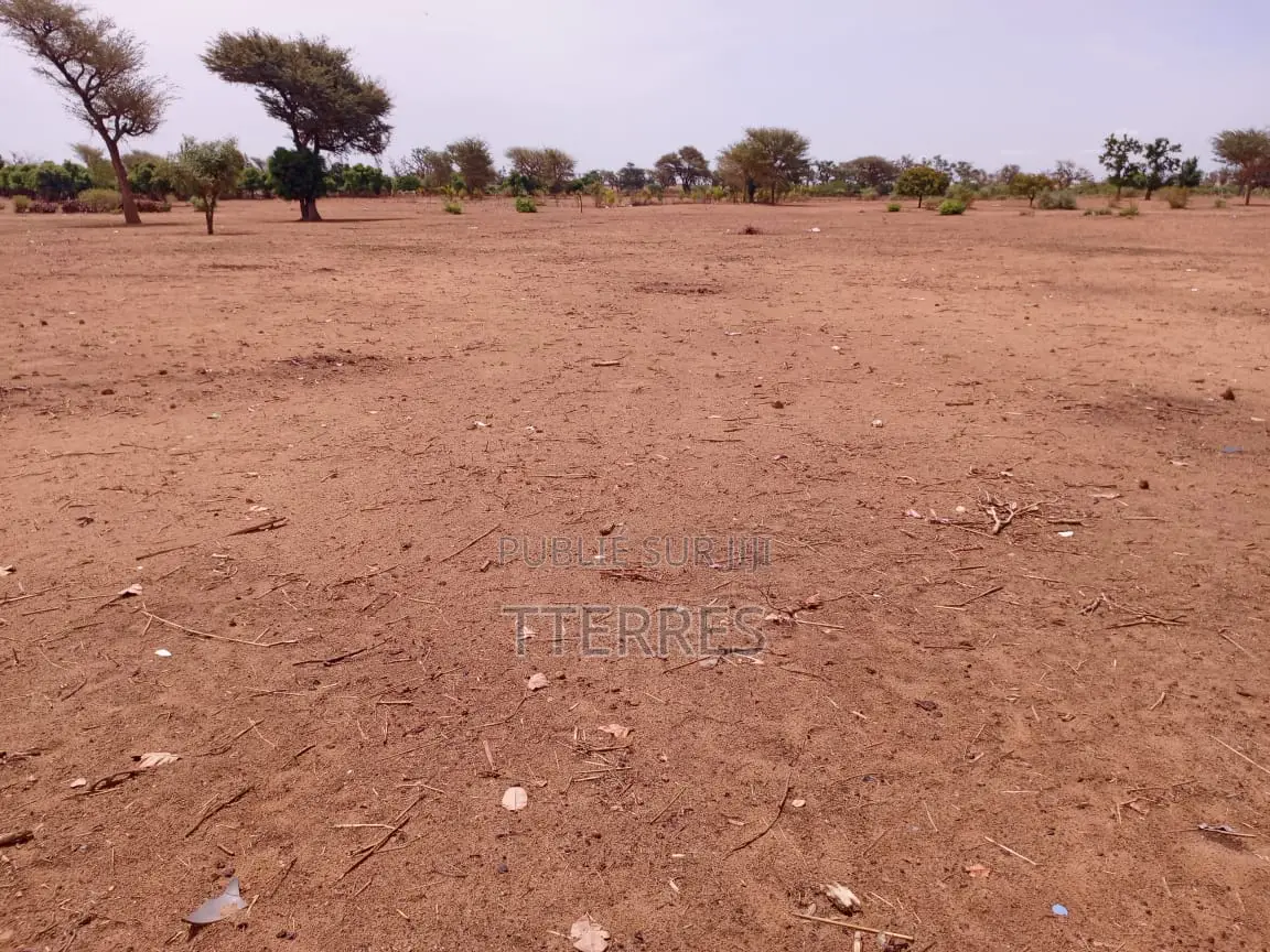 Terrain Agricole De 4099 M2 À 300 M De Takhoum - Mbour
