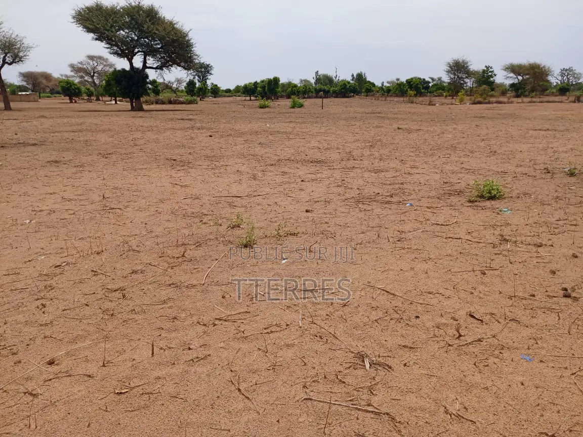 Terrain Agricole De 4099 M2 À 300 M De Takhoum - Mbour