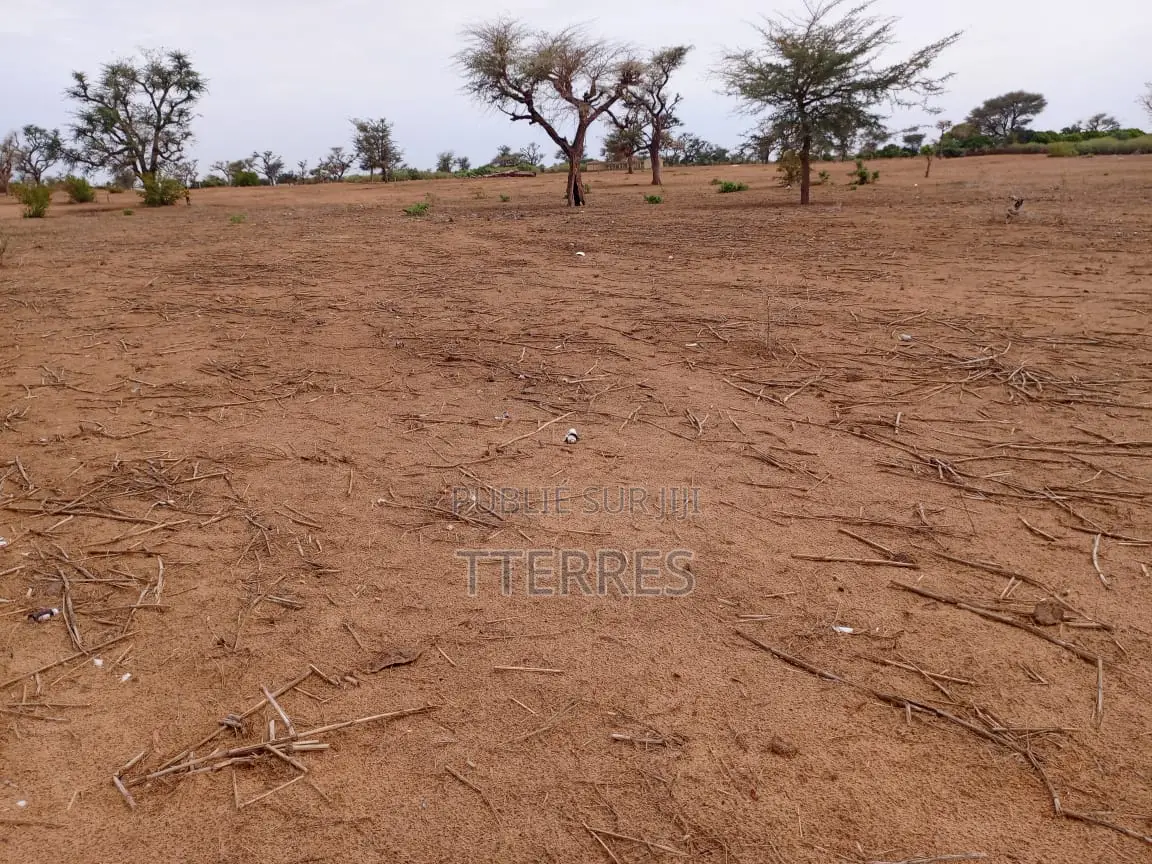 Terrain Agricole De 6.363 M2 À 3 Km De Malicounda - Mbour