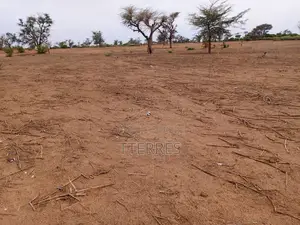 Terrain Agricole De 6.363 M2 À 3 Km De Malicounda - Mbour