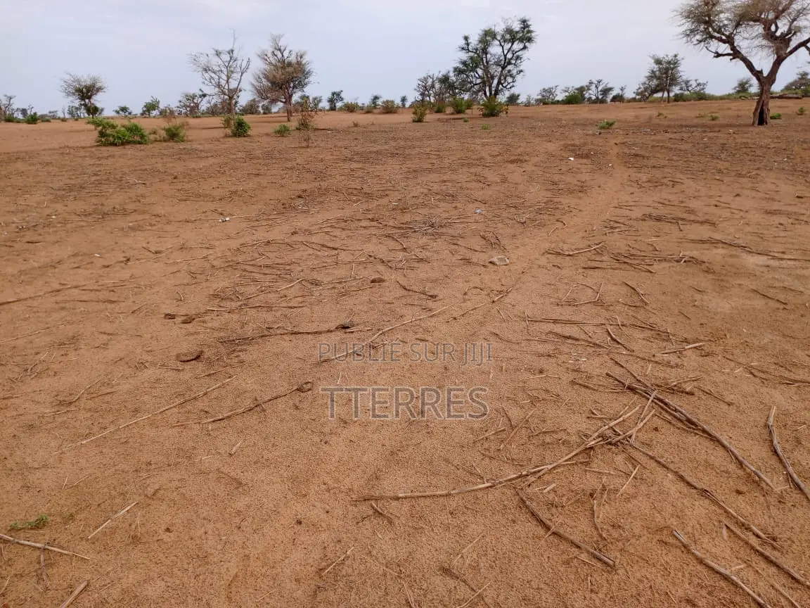 Terrain Agricole De 6.363 M2 À 3 Km De Malicounda - Mbour