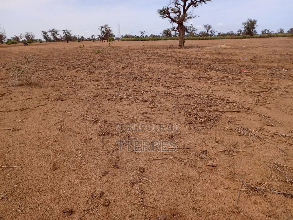 Terrain Agricole De 6.363 M2 À 3 Km De Malicounda - Mbour
