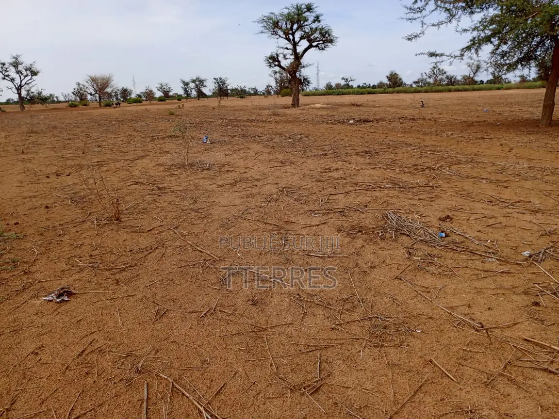 Terrain Agricole De 6.363 M2 À 3 Km De Malicounda - Mbour