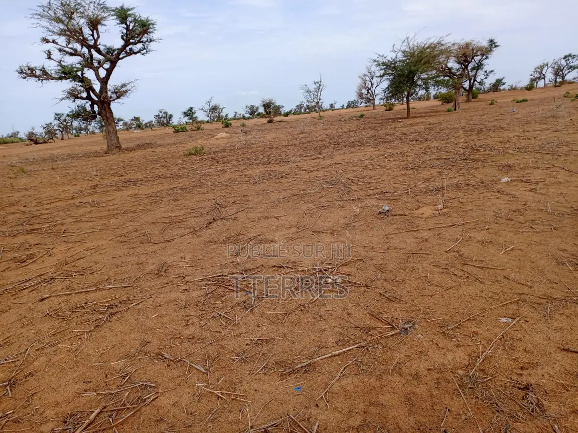 Terrain Agricole De 6.363 M2 À 3 Km De Malicounda - Mbour