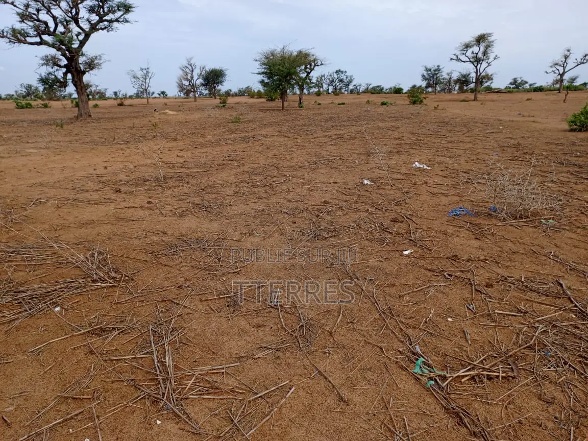 Terrain Agricole De 6.363 M2 À 3 Km De Malicounda - Mbour