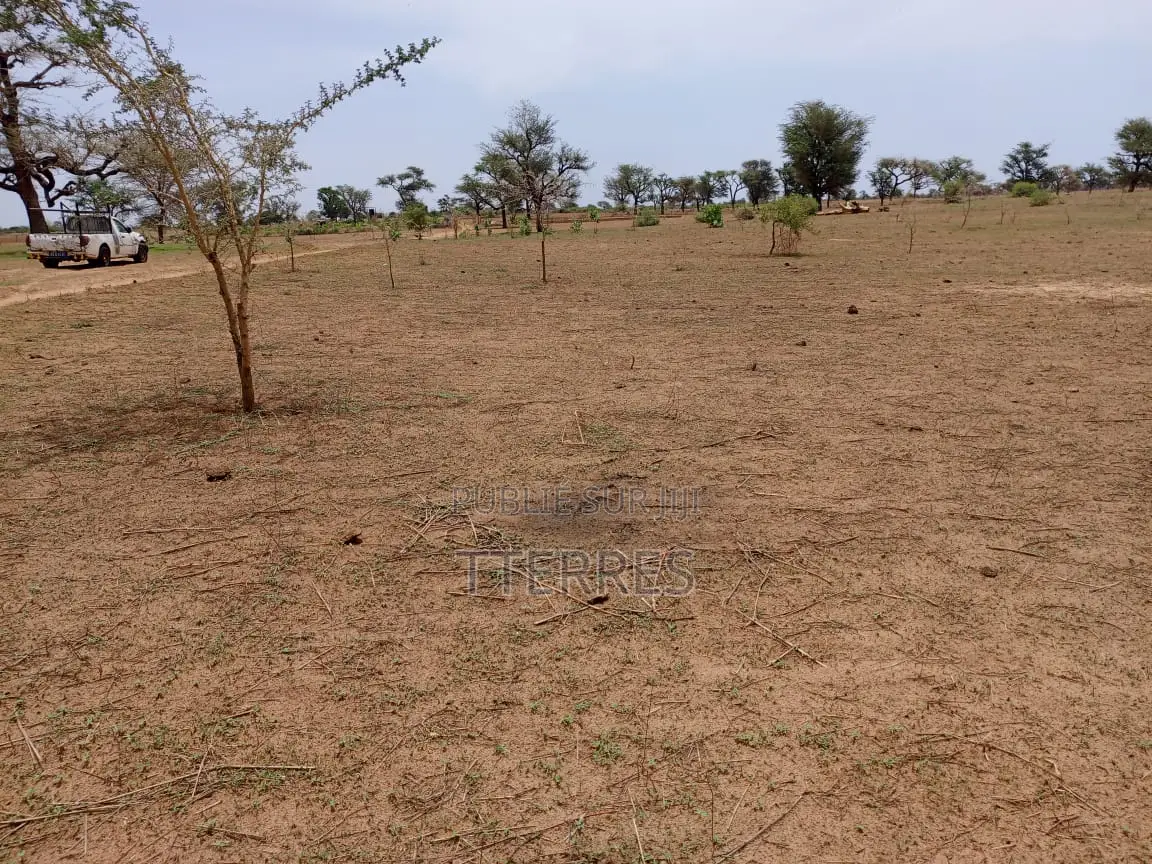 Terrain Agricole De 1,11 Hectare À 3 Km De Malicounda - Mbour