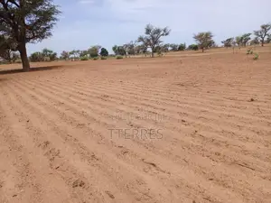 Terrain Agricole De 1,11 Hectare À 3 Km De Malicounda - Mbour