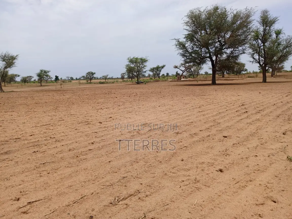Terrain Agricole De 1,11 Hectare À 3 Km De Malicounda - Mbour