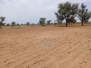Terrain Agricole De 1,11 Hectare À 3 Km De Malicounda - Mbour