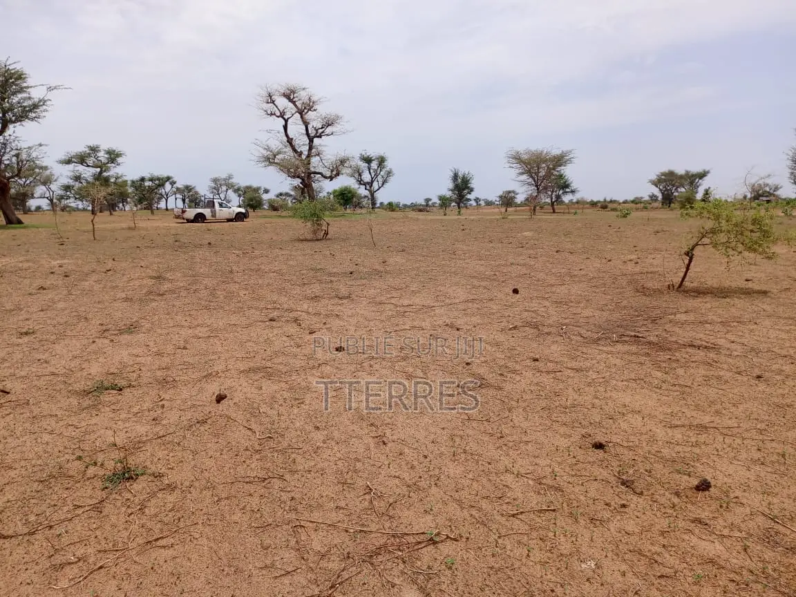 Terrain Agricole De 1,11 Hectare À 3 Km De Malicounda - Mbour