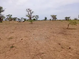 Terrain Agricole De 1,11 Hectare À 3 Km De Malicounda - Mbour