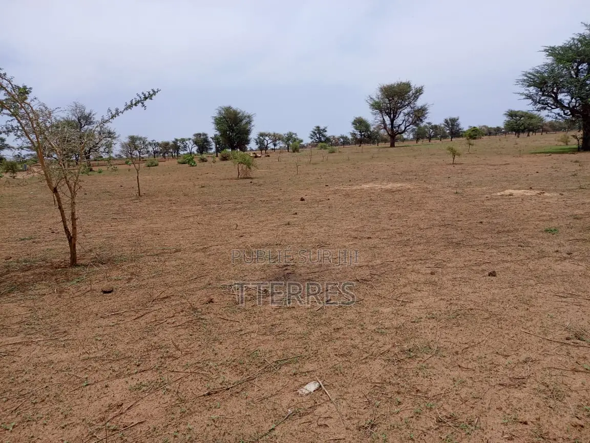 Terrain Agricole De 1,11 Hectare À 3 Km De Malicounda - Mbour