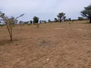 Terrain Agricole De 1,11 Hectare À 3 Km De Malicounda - Mbour