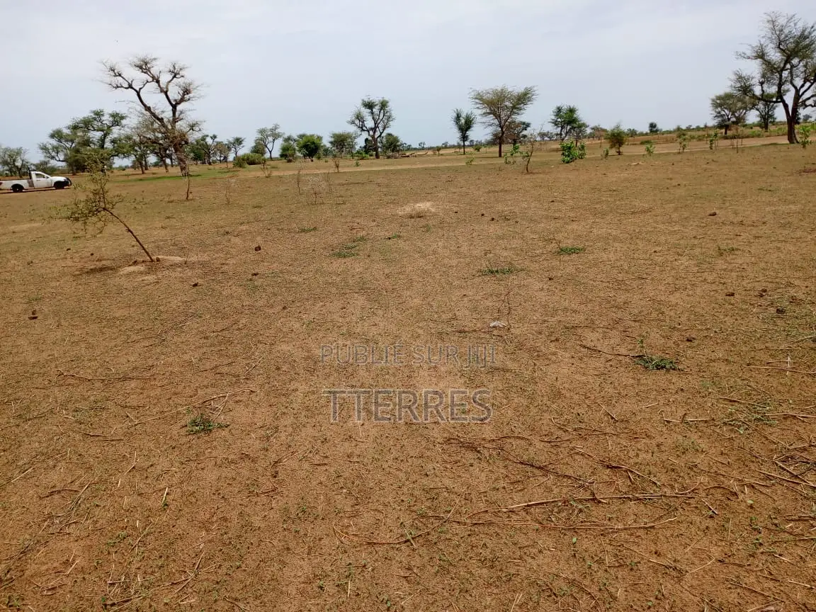 Terrain Agricole De 1,11 Hectare À 3 Km De Malicounda - Mbour