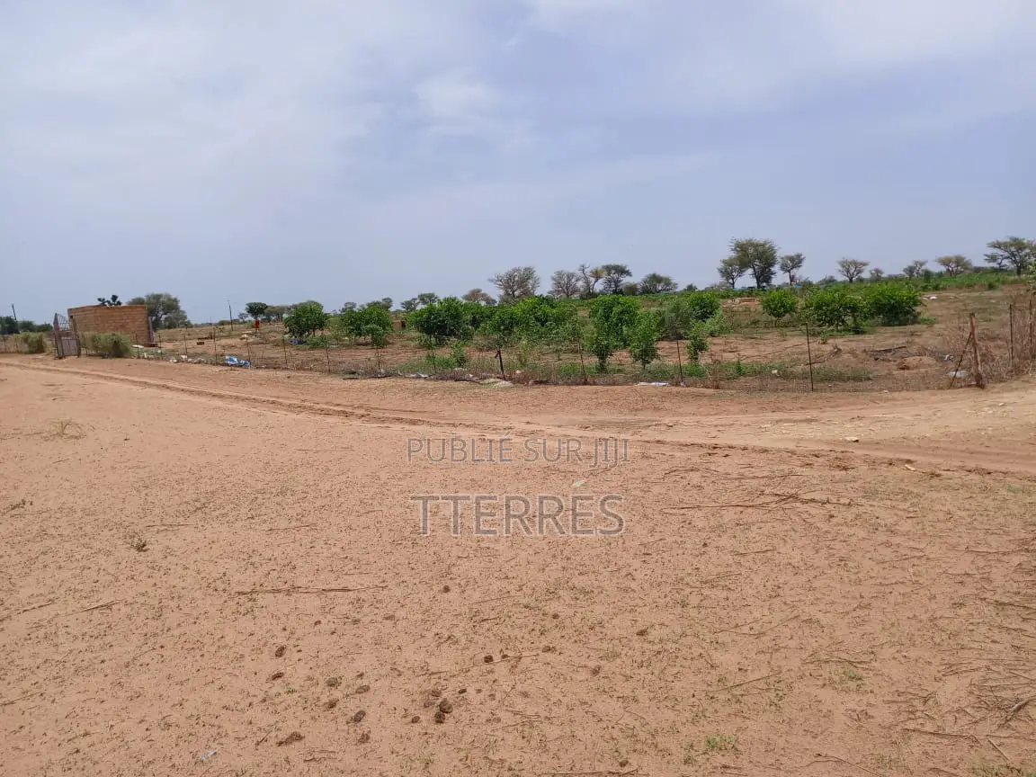 Terrain Agricole De 9534 M2 Vers Malicounda - Mbour