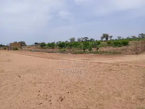 Terrain Agricole De 9534 M2 Vers Malicounda - Mbour