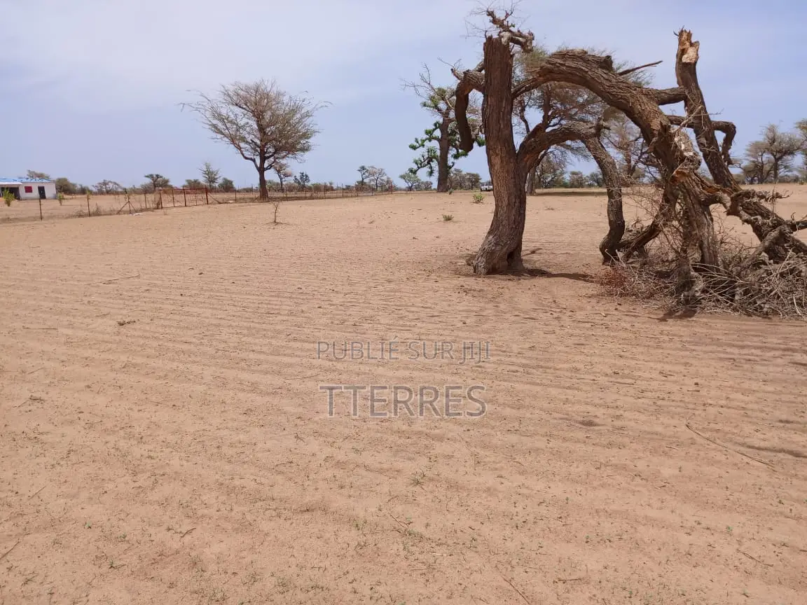 Terrain Agricole De 9534 M2 Vers Malicounda - Mbour