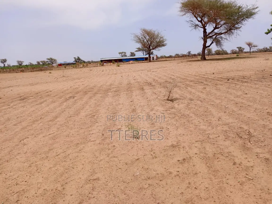 Terrain Agricole De 9534 M2 Vers Malicounda - Mbour