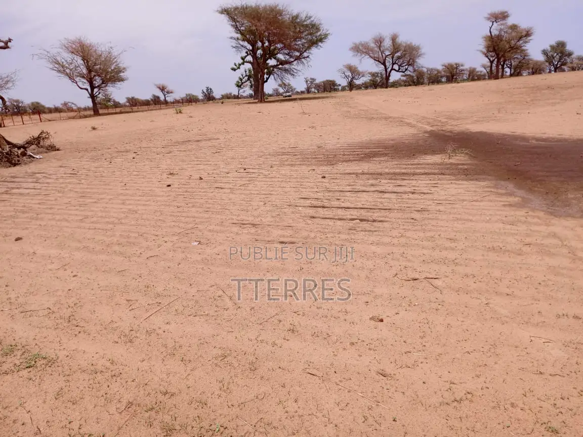Terrain Agricole De 9534 M2 Vers Malicounda - Mbour
