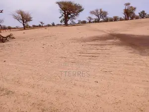 Terrain Agricole De 9534 M2 Vers Malicounda - Mbour