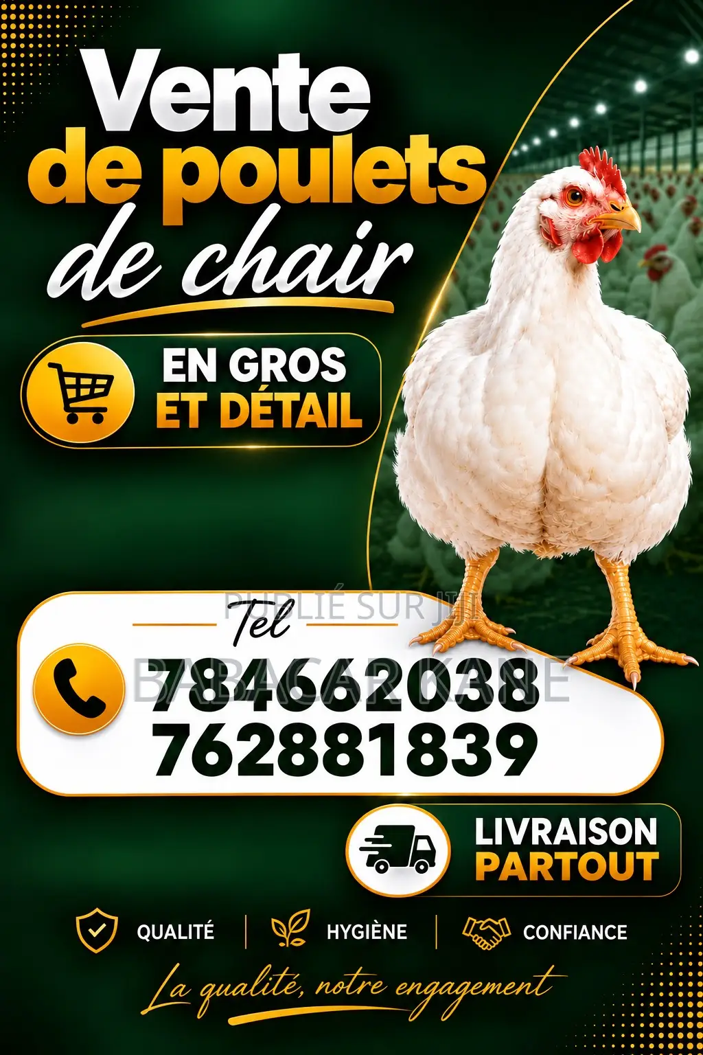 Je Vends Des Poulets De Chair De Qualité !