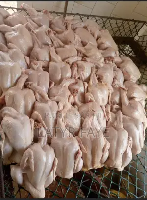 Poulet De Chair 1,8kg 2kg 2,2kg