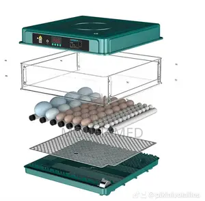 Couveuse Automatique 50 Oeufs