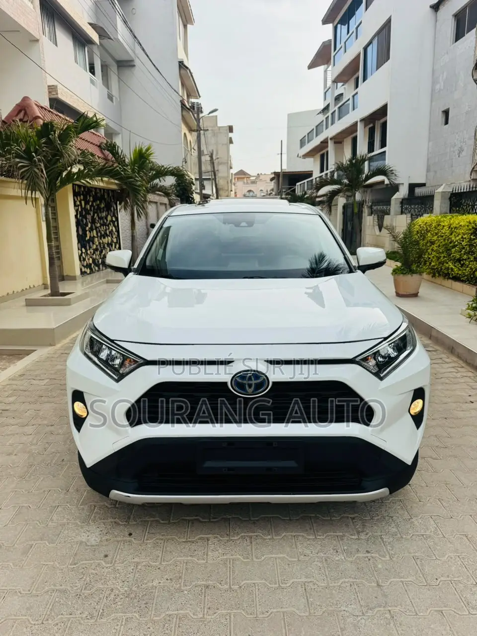 Toyota RAV4 XLE Premium 2021 Blanc