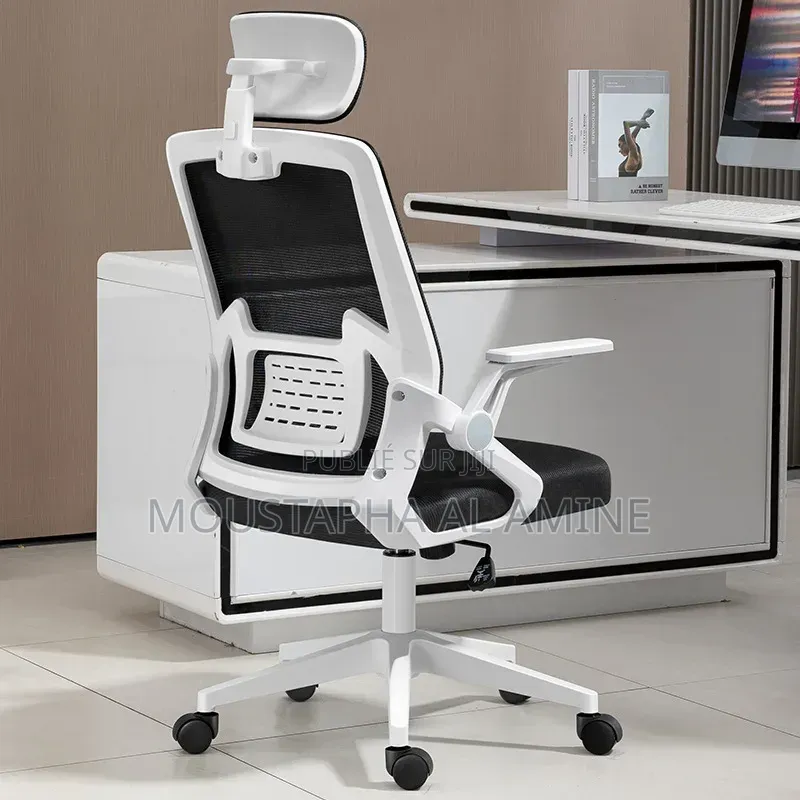 Chaise Orthopedique Et Ergonomique