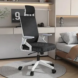 Chaise Orthopedique Et Ergonomique