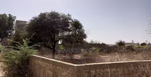 Terrain Bail 1020 M2 À Vendre Ndayane