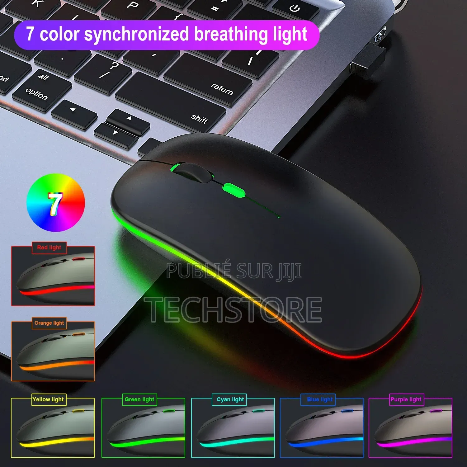 Souris Sans Fil Rechargeable