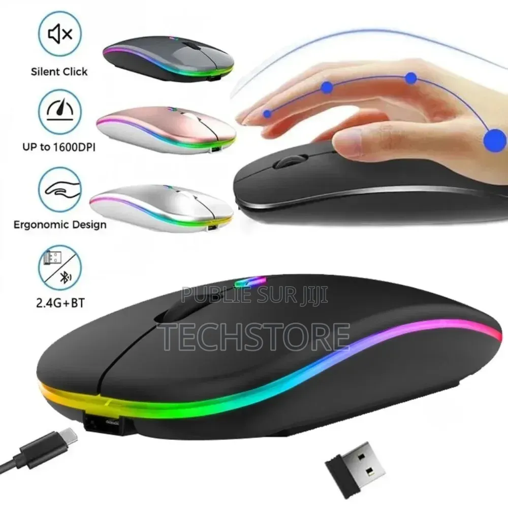 Souris Sans Fil Rechargeable