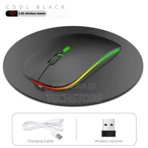 Souris Sans Fil Rechargeable