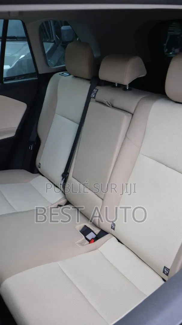 Toyota RAV4 2026 Gris