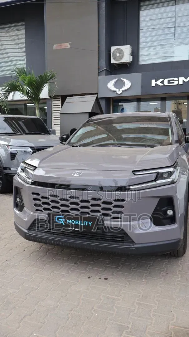 Toyota RAV4 2026 Gris
